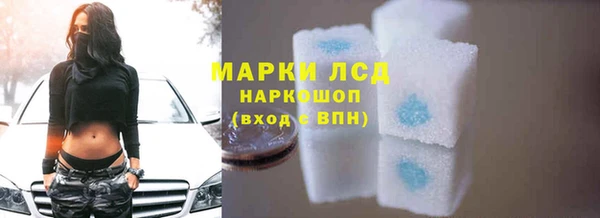 PSILOCYBIN Алзамай
