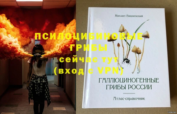PSILOCYBIN Алзамай