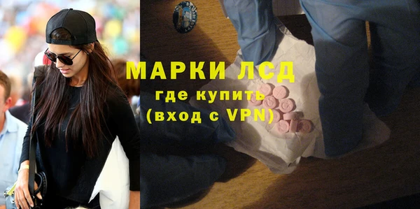 PSILOCYBIN Алзамай
