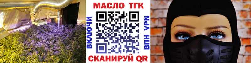 цена наркотик  Егорьевск  ТГК гашишное масло 