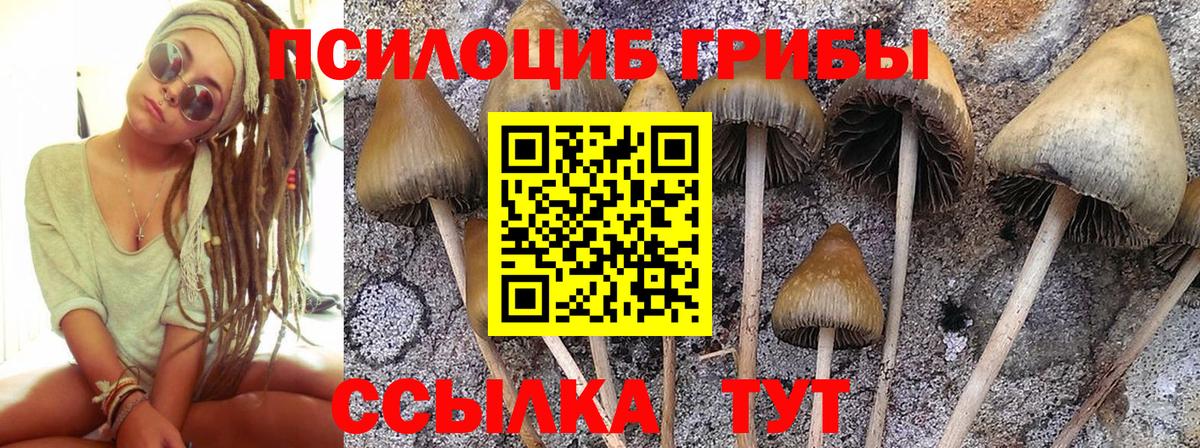 Псилоцибиновые грибы мухоморы  Вход с VPN  купить  цена  Егорьевск  Псилоцибиновые грибы GOLDEN TEACHER 